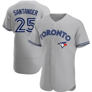 Anthony Santander Toronto Blue Jays Authentic Road Jersey - Gray