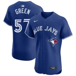 Chad Green Toronto Blue Jays Elite Royal Alternate Jersey - Green
