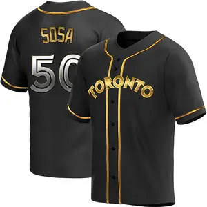 Lenyn Sosa Toronto Blue Jays Replica Alternate Jersey - Black Golden